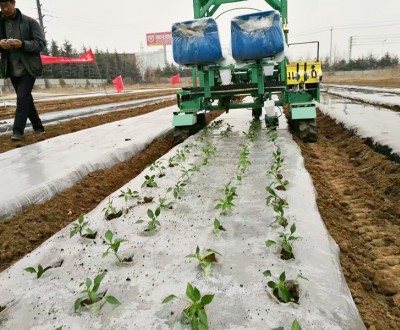 蔬菜移栽機