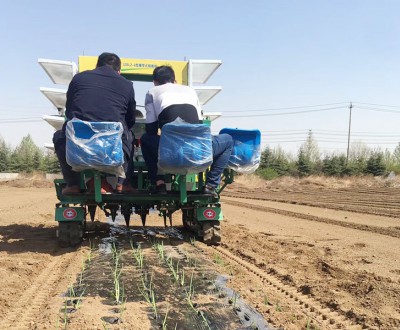 洋蔥移栽機(jī)