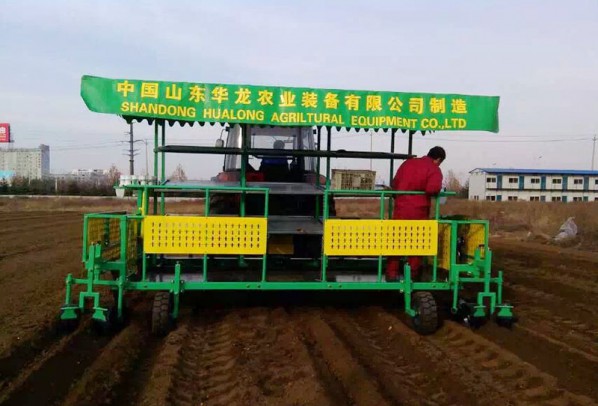 構(gòu)樹(shù)、桑樹(shù)、樹(shù)苗移栽機(jī)