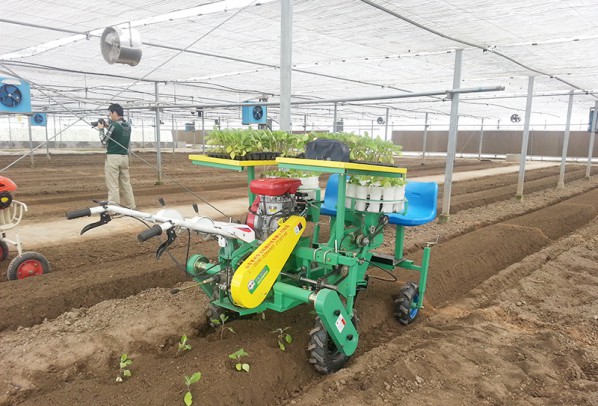 西紅柿、甜菜、甘藍移栽機