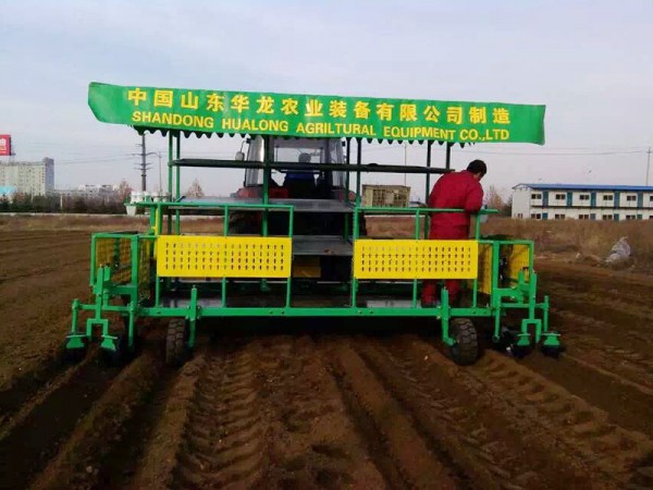 構(gòu)樹、桑樹、樹苗移栽機(jī)